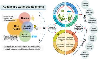 Resilient water quality management: Insights from Japan's environmental quality standards for conserving aquatic life framework