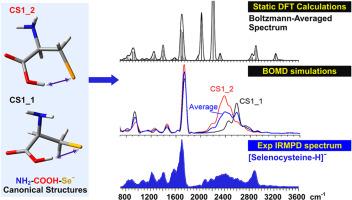 IRMPD spectroscopy of deprotonated selenocysteine - The 21st proteinogenic amino acid