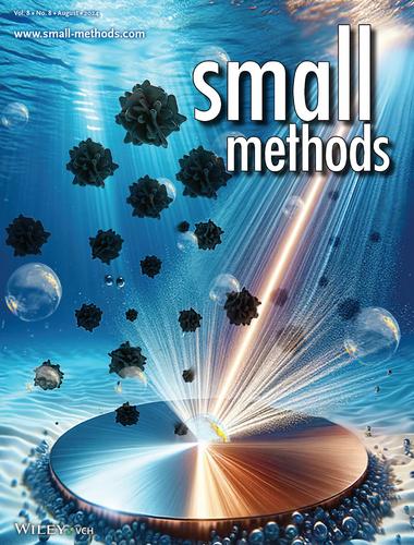 Laser-Synthesized Co-Doped CuO Electrocatalyst: Unveiling Boosted Methanol Oxidation Kinetics for Enhanced Hydrogen Production Efficiency by In Situ/Operando Raman and Theoretical Analyses (Small Methods 8/2024)
