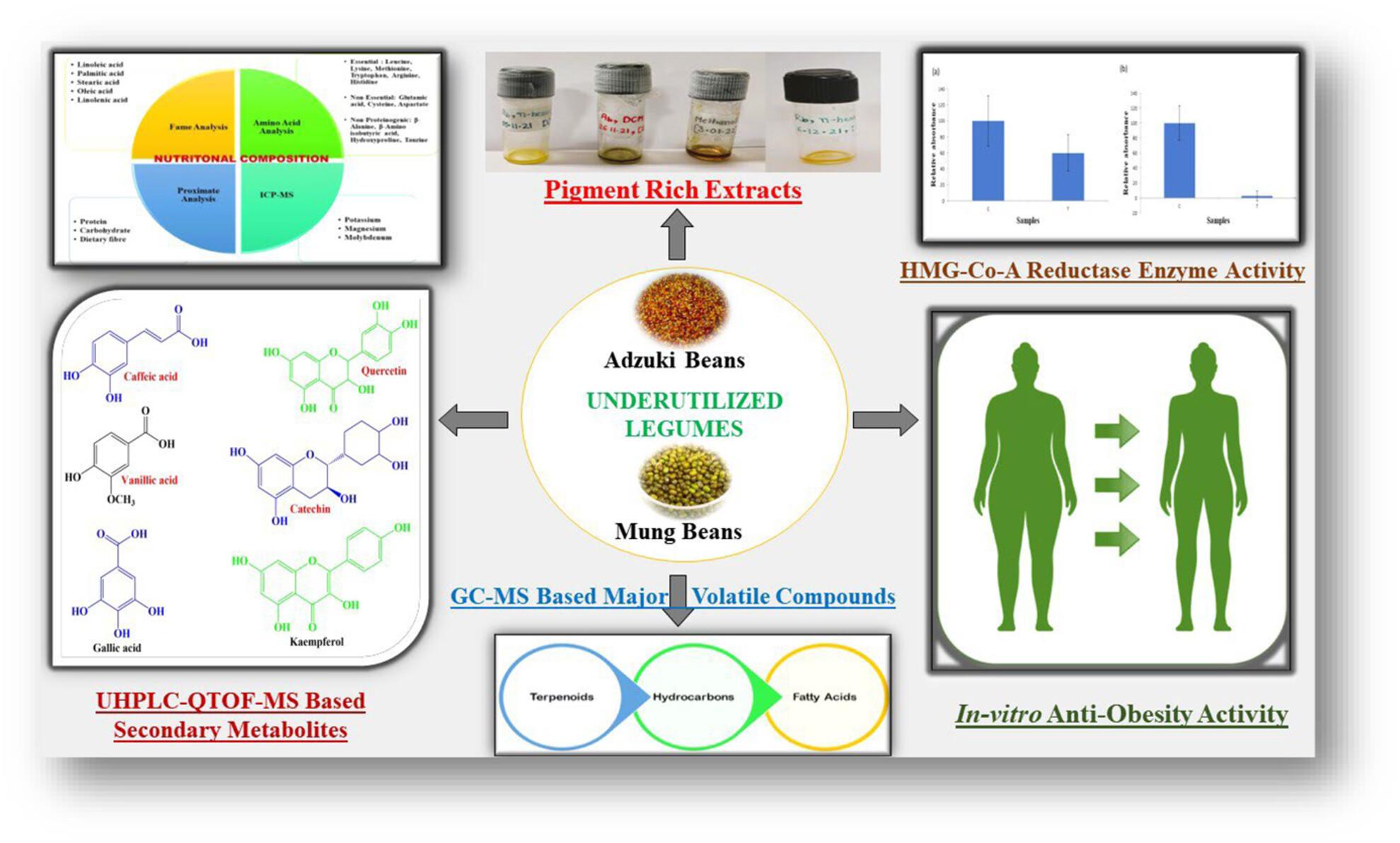 Bioactive profiling of two varieties of Indian legumes: adzuki and mung beans