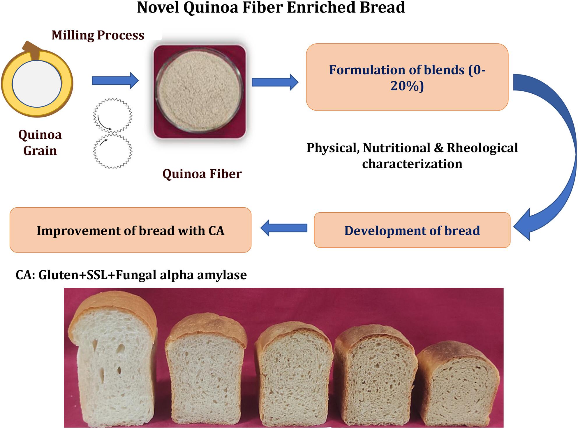 Effect of a novel high-fibre component from quinoa on the properties of bread-making