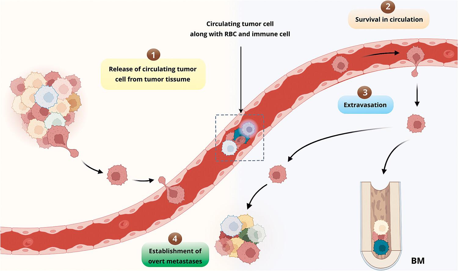 New paradigms to break barriers in early cancer detection for improved prognosis and treatment outcomes