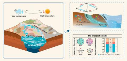 Decoupling soil community structure, functional composition, and nitrogen metabolic activity driven by salinity in coastal wetlands