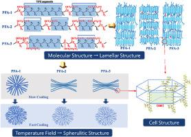 Effects of molecular structure and temperature field on the crystallization behavior of poly(tetrafluoroethylene-co-perfluoroalkylvinyl ether)