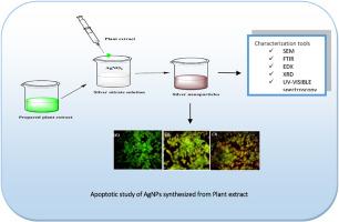 Evaluation of cytotoxicity of silver nanoparticles on human skin melanoma SK- MEL-3 cell line: In vitro model