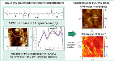 Identifying the location and micellization of PEG-b-PCL multiblock copolymers in PLA/PCL blends via AFM nanoscale IR spectroscopy