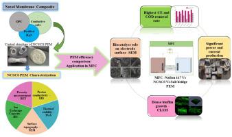 An effective, novel and low-cost proton exchange membrane for microbial fuel cell-based bioelectricity production