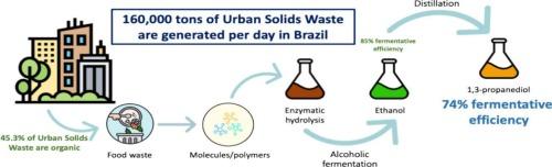 Integrated production of ethanol and 1,3-propanediol from food waste enzymatic hydrolysates in a biorefinery approach