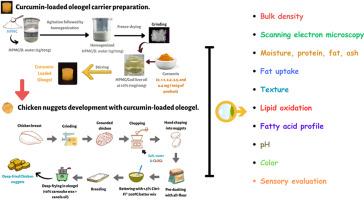 Utilizing foam-structured hydroxypropyl methylcellulose oleogels with curcumin for deep-fried chicken nuggets in carnauba wax-canola oil oleogel