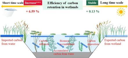 Sustainable carbon retention from water input to wetlands at two temporal scales