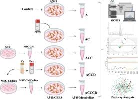 Metabolomics to investigate the effect of preconditioned mesenchymal stem cells with crocin on pulmonary epithelial cells exposed to 2-chloroethyl ethyl sulfide