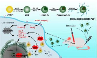 Dual-responsive smart nano-platform targeting peptide modifications synergistically enhances multimodal therapy for liver cancer