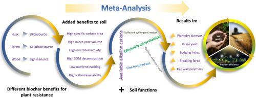 Biochar and soil contributions to crop lodging and yield performance - A meta-analysis