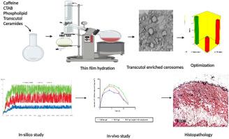 Sonophoresis mediated diffusion of caffeine loaded Transcutol® enriched cerosomes for topical management of cellulite