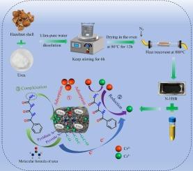 Urea-modified hazelnut shell biochar (N-HSB) for efficient Cr(VI) removal: Performance and mechanism insights