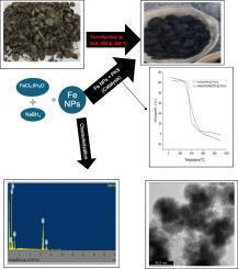 Conversion of palm kernel shell to sustainable energy and the effect of wet synthesized nanoparticles of iron on its thermal degradation kinetics