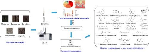 Characterization of the key differential aroma compounds in five dark teas from different geographical regions integrating GC–MS, ROAV and chemometrics approaches