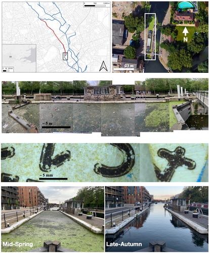 The invisible city: The mundane biogeographies of urban microbial ecologies