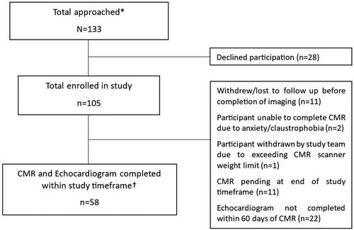 Feasibility, reproducibility, and accuracy of echocardiographic right ventricular systolic function assessments in childhood cancer survivors at risk for heart failure