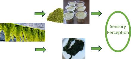 Sensory and consumer aspects of sea lettuce (Ulva fenestrata) – impact of harvest time, cultivation conditions and protein level