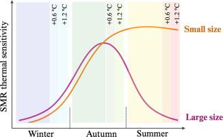 The seasonal response of metabolic rate to projected climate change scenarios in aquatic amphipods