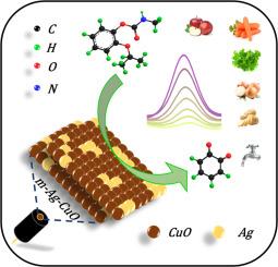 Metallic silver-alloyed copper oxide electro-catalyst: A high-sensitivity platform for propoxur insecticide detection in food samples