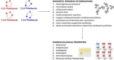 Advancing drug discovery: Thiadiazole derivatives as multifaceted agents in medicinal chemistry and pharmacology