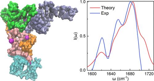 Unraveling the Structure-Spectrum Relationship of Yeast Phenylalanine Transfer RNA: Insights from Theoretical Modeling of Infrared Spectroscopy