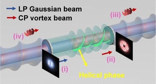Over 252 mW Circularly Polarized Vortex Fiber Laser with Intracavity Tunable Helicity and Chirality via a High-Gain and High-Birefringent Active Fiber