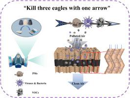 3D hydrophobic wood membrane with micro-nano baffle structure for multifunctional air purification filters: “Kill three eagles with one arrow”