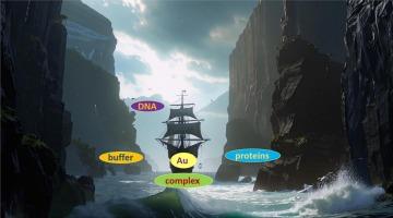 Complexation of Gold(I) and Gold(III) in solutions