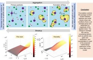 Enhancing non-newtonian fluid modeling: A novel extension of the cross flow curve model