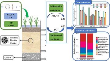 Removal of sulfonamide antibiotics by constructed wetland substrate with NaOH-modified corn straw biochar under different operating conditions