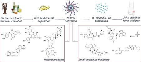 Recent advances in the treatment of gout with NLRP3 inflammasome inhibitors