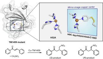 A thiopyridine-bound mirror-image copper center in an artificial non-heme metalloenzyme