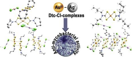 Double pseudo-polymeric complexes of [Au(S2CNBu2)2][AgCl2] and [Au(S2CNHm)2]3[AgCl2][Ag0.59Au0.41Cl2]2: Preparation, supramolecular self-assembly, thermal behaviour and anti-mycobacterial activity