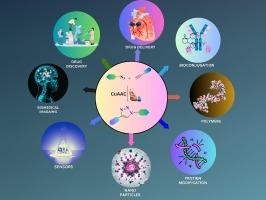 Recent advances in triazole synthesis via click chemistry and their pharmacological applications: A review