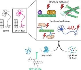 Alpha-synuclein fine-tunes neuronal response to pro-inflammatory cytokines