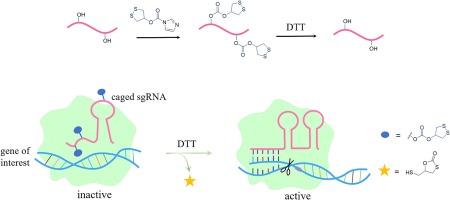 Enhanced control of RNA modification and CRISPR-Cas activity through redox-triggered disulfide cleavage