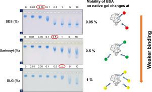 Effects of sodium dodecyl sulfate, Sarkosyl and sodium lauroyl glutamate on the structure of proteins monitored by agarose native gel electrophoresis and circular dichroism