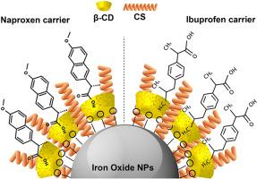 Synthesis of functionalized superparamagnetic iron oxide nanoparticles for ibuprofen and naproxen hydrophobic drugs delivery