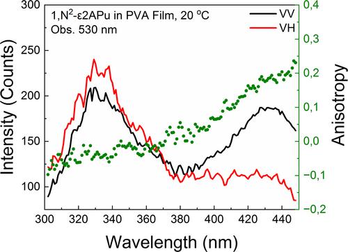 Room temperature luminescence of 1,N2-etheno-2-aminopurine in poly (vinyl alcohol) films