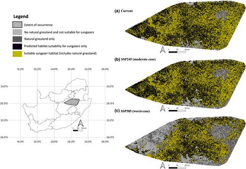 Gazing into the future: The potential impact of climate change on habitat suitability of the Sungazer (Smaug giganteus)