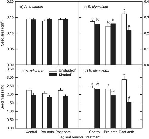 Variation in the role of the flag-leaf in reproductive effort of semiarid rangeland bunchgrasses