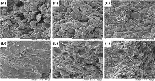 Effect of phosphorylated long-chain inulin on the quality characteristics of fresh noodles