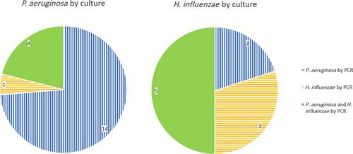 Respiratory Pathogens at Exacerbation in Chronic Bronchitis With Airway Bacterial Colonisation: A Cohort Study