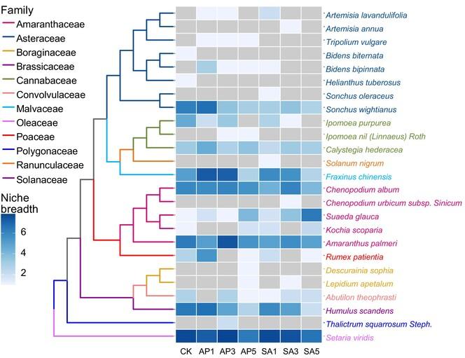 Mitigating invasive species using biochar derived from invasive plants in saline-alkaline wetland plant communities dominated by Amaranthus palmeri