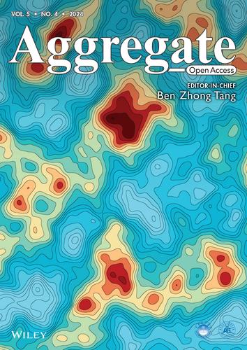 Inside Back Cover: Aggregation and aging of nanoparticle–protein complexes at interfaces studied by evanescent-light scattering microscopy