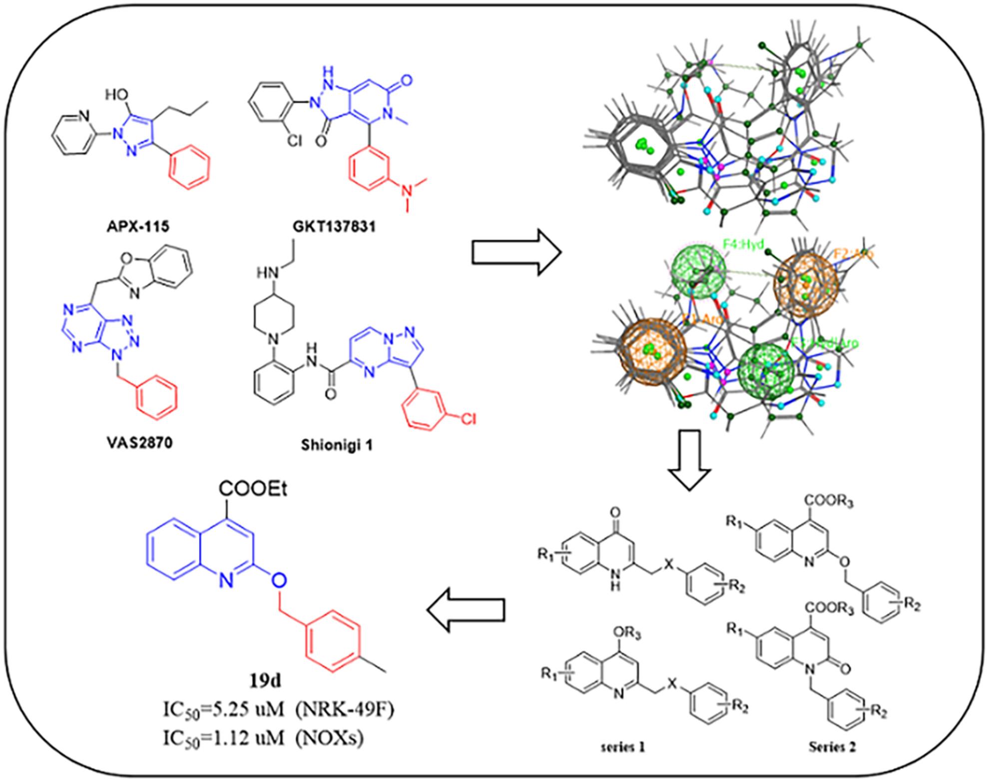 Design, Synthesis, and Biological Evaluation of Quinoline (Quinolinone) Derivatives as NADPH Oxidase (NOX) Inhibitors