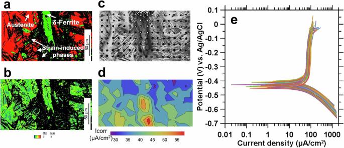 Microstructurally resolved electrochemical evolution of mechanical- and irradiation-induced damage in nuclear alloys